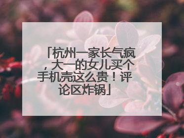 杭州一家长气疯，大一的女儿买个手机壳这么贵！评论区炸锅