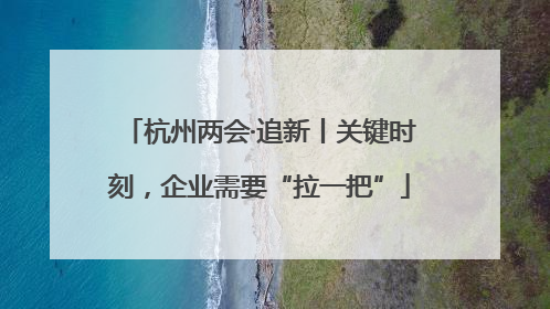 杭州两会·追新丨关键时刻，企业需要“拉一把”