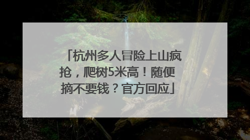 杭州多人冒险上山疯抢，爬树5米高！随便摘不要钱？官方回应