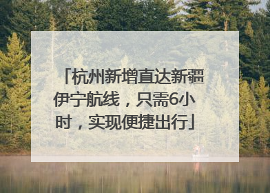 杭州新增直达新疆伊宁航线，只需6小时，实现便捷出行