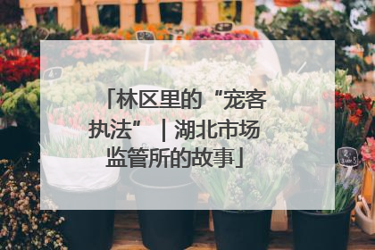 林区里的“宠客执法”｜湖北市场监管所的故事