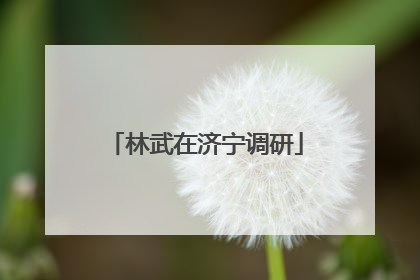 林武在济宁调研