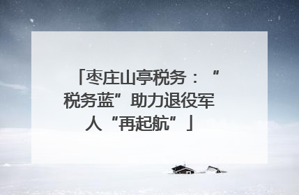 枣庄山亭税务：“税务蓝”助力退役军人“再起航”