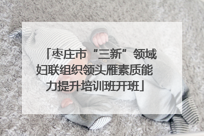 枣庄市“三新”领域妇联组织领头雁素质能力提升培训班开班