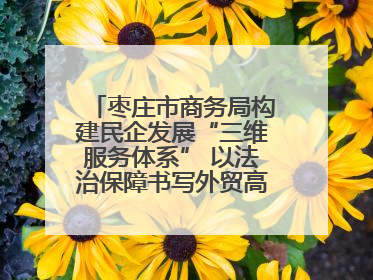 枣庄市商务局构建民企发展“三维服务体系” 以法治保障书写外贸高质量答卷