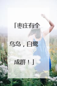 枣庄有个鸟岛，白鹭成群！