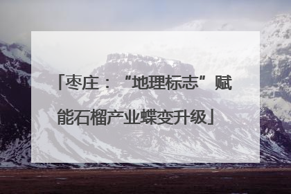 枣庄：“地理标志”赋能石榴产业蝶变升级