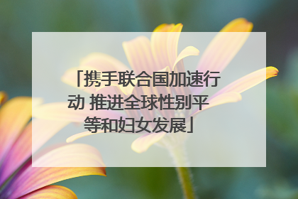 携手联合国加速行动 推进全球性别平等和妇女发展