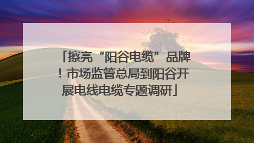擦亮“阳谷电缆”品牌！市场监管总局到阳谷开展电线电缆专题调研