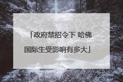 政府禁招令下 哈佛国际生受影响有多大