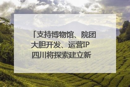 支持博物馆、院团大胆开发、运营IP 四川将探索建立新的收入分配激励机制｜新闻发布最前线