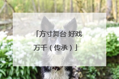 方寸舞台 好戏万千（传承）