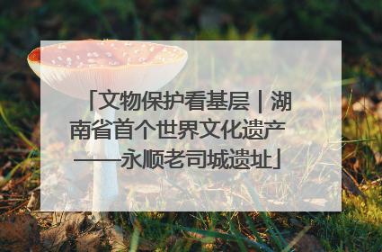 文物保护看基层｜湖南省首个世界文化遗产——永顺老司城遗址