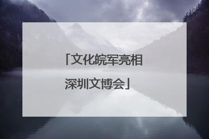 文化皖军亮相深圳文博会