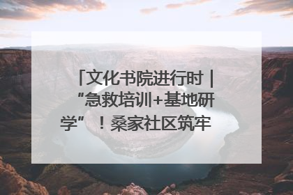 文化书院进行时｜“急救培训+基地研学”！桑家社区筑牢居民健康防线