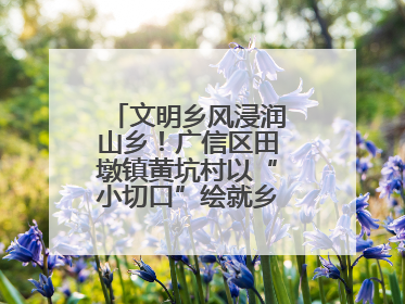 文明乡风浸润山乡！广信区田墩镇黄坑村以“小切口”绘就乡村振兴大图景
