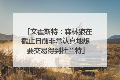 文霍斯特：森林狼在截止日前非常认真地想要交易得到杜兰特