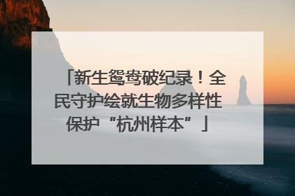 新生鸳鸯破纪录！全民守护绘就生物多样性保护“杭州样本”