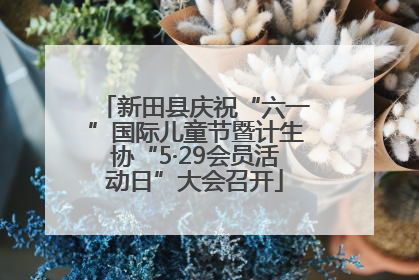 新田县庆祝“六一”国际儿童节暨计生协“5·29会员活动日”大会召开