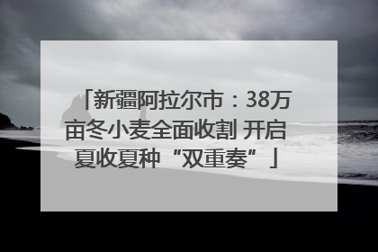 新疆阿拉尔市：38万亩冬小麦全面收割 开启夏收夏种“双重奏”