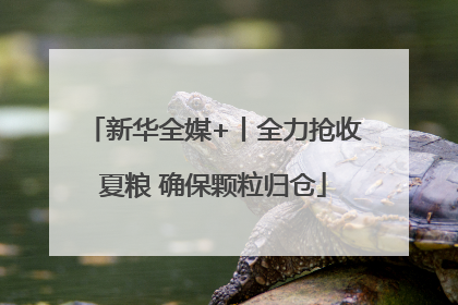 新华全媒+丨全力抢收夏粮 确保颗粒归仓