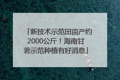 新技术示范田亩产约2000公斤！海南甘薯示范种植有好消息