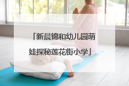 新晨锦和幼儿园萌娃探秘莲花街小学