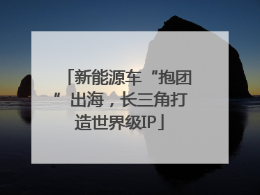 新能源车“抱团”出海，长三角打造世界级IP