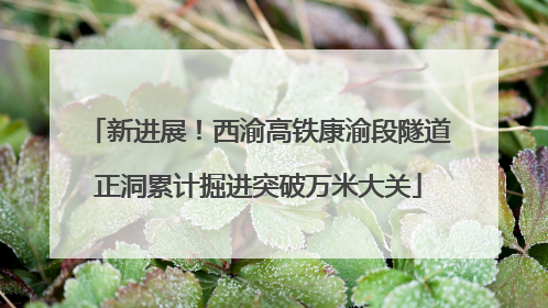 新进展！西渝高铁康渝段隧道正洞累计掘进突破万米大关
