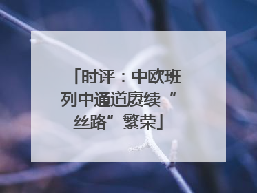 时评：中欧班列中通道赓续“丝路”繁荣