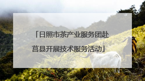 日照市茶产业服务团赴莒县开展技术服务活动