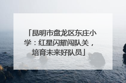 昆明市盘龙区东庄小学：红星闪耀闯队关，培育未来好队员