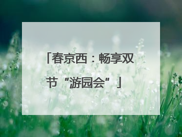 春京西：畅享双节“游园会”