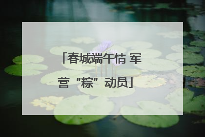 春城端午情 军营“粽”动员