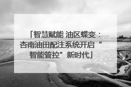 智慧赋能 油区蝶变：杏南油田配注系统开启“智能管控”新时代