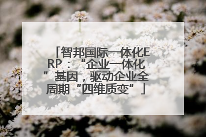 智邦国际一体化ERP：“企业一体化”基因，驱动企业全周期“四维质变”