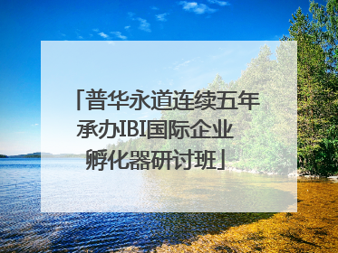 普华永道连续五年承办IBI国际企业孵化器研讨班