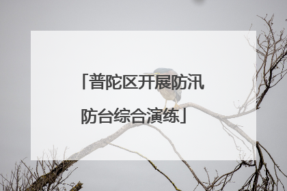 普陀区开展防汛防台综合演练