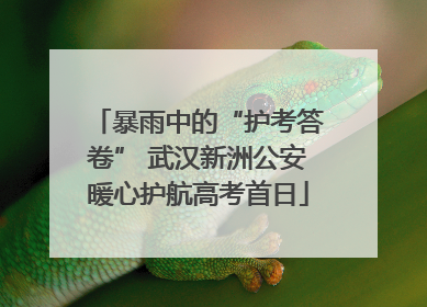 暴雨中的“护考答卷” 武汉新洲公安暖心护航高考首日