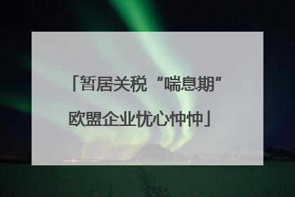 暂居关税“喘息期” 欧盟企业忧心忡忡