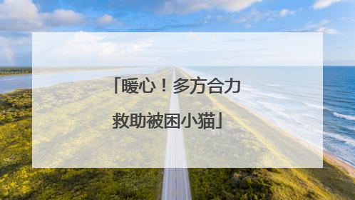 暖心！多方合力救助被困小猫