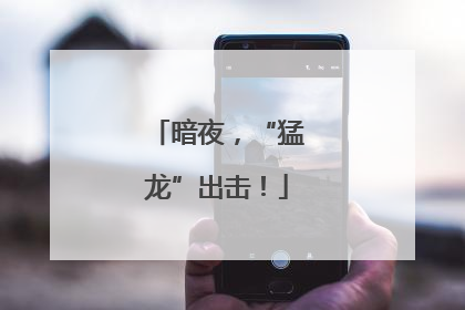 暗夜，“猛龙”出击！