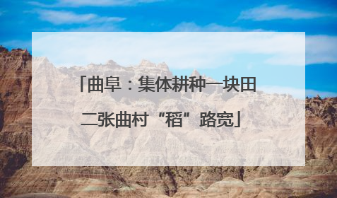 曲阜：集体耕种一块田 二张曲村“稻”路宽
