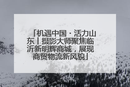机遇中国・活力山东丨摄影大师聚焦临沂新明辉商城，展现商贸物流新风貌