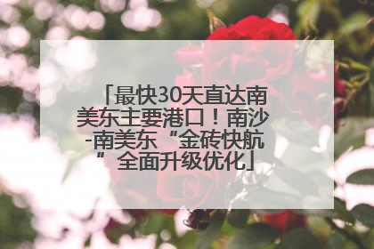 最快30天直达南美东主要港口！南沙-南美东“金砖快航”全面升级优化
