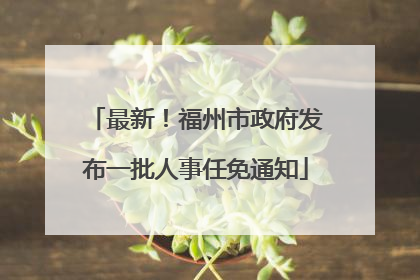 最新！福州市政府发布一批人事任免通知