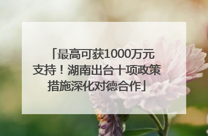 最高可获1000万元支持！湖南出台十项政策措施深化对德合作