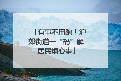 有事不用跑！沪郊街道一“码”解居民烦心事