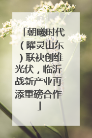 朝曦时代（曜灵山东）联袂创维光伏，临沂战新产业再添重磅合作