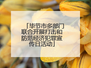 毕节市多部门联合开展打击和防范经济犯罪宣传日活动